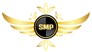IndroMaxSMP